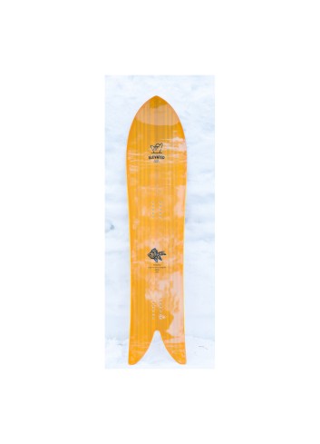 Elevated Surfcraft - Goldfish Board_14763